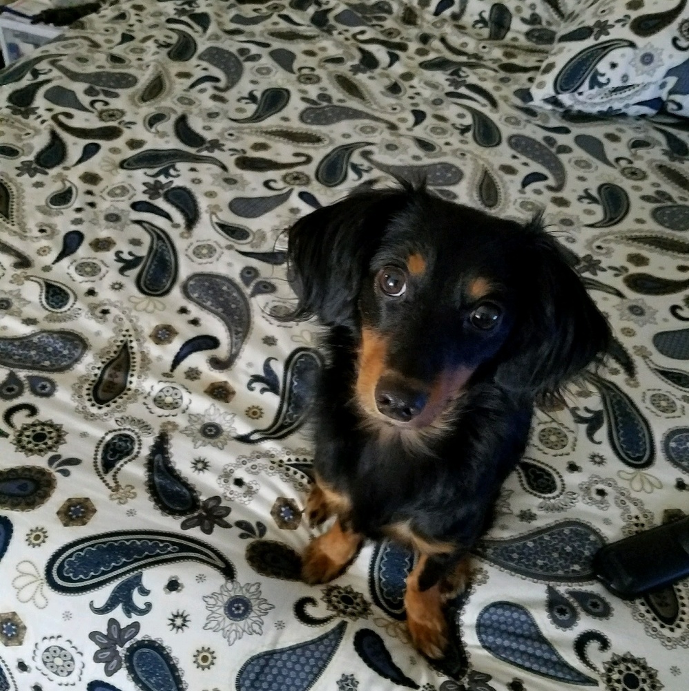 Meet your Posher, Ruth